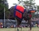 1 (17)