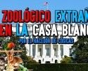 mascotas casa blanca (1280×720)