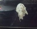 objetos graciosos caras (23)