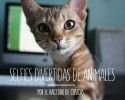 selfies-animales
